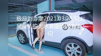 极品刘亦雯2021.03.28(S)大尺度私拍无水套图[606P/3.7G]