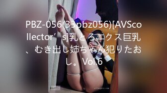 PBZ-056(33pbz056)[AVScollector’s]乳とろニクス巨乳、むき出し姉ちゃん犯りたおし。Vol.6