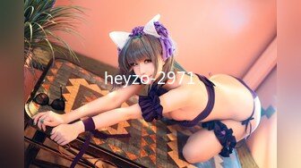 heyzo-2971