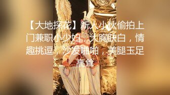 【大地探花】新人小伙偷拍上门兼职小少妇，大胸肤白，情趣挑逗，沙发啪啪，美腿玉足高耸