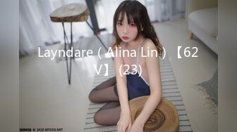 Layndare（Alina Lin）【62V】 (23)