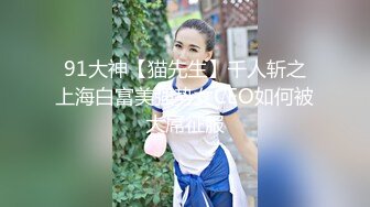 91大神【猫先生】千人斩之上海白富美强势女CEO如何被大屌征服