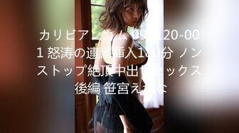 カリビアンコム 090120-001 怒涛の連続挿入180分 ノンストップ絶頂中出しセックス 後編 笹宮えれな