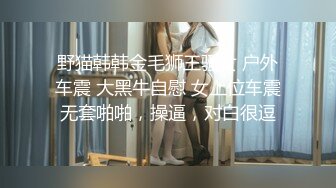 野猫韩韩金毛狮王骚女 户外车震 大黑牛自慰 女上位车震无套啪啪，操逼，对白很逗