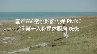 国产AV 蜜桃影像传媒 PMX025 第一人称裸体厨房 斑斑