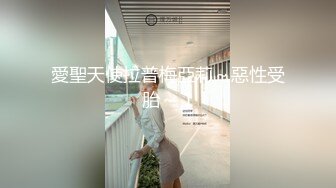 愛聖天使拉普梅亞莉～惡性受胎～ 1