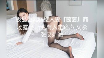 极品巨乳骚婊人妻『茵茵』商场露出 听到有人走路声 又紧张又刺激